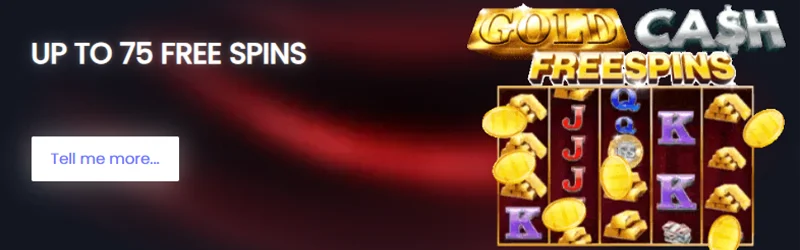 Mystery Box promotion on Q88Bets with free spins, slot symbols, wagering rules and a clear explanation of how the bonus works.